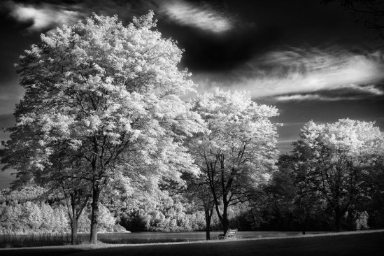 Lackawanna State Park